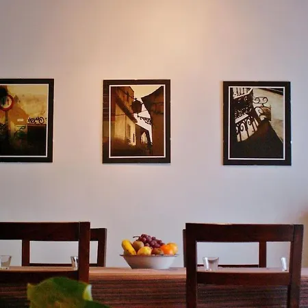 Oasis Apartment