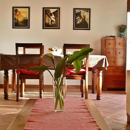 Apartment Oasis *