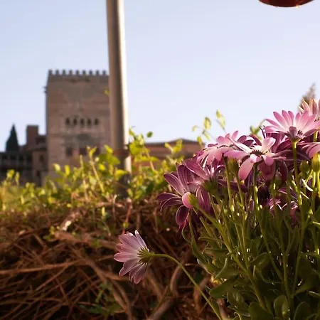 Oasis غرناطة